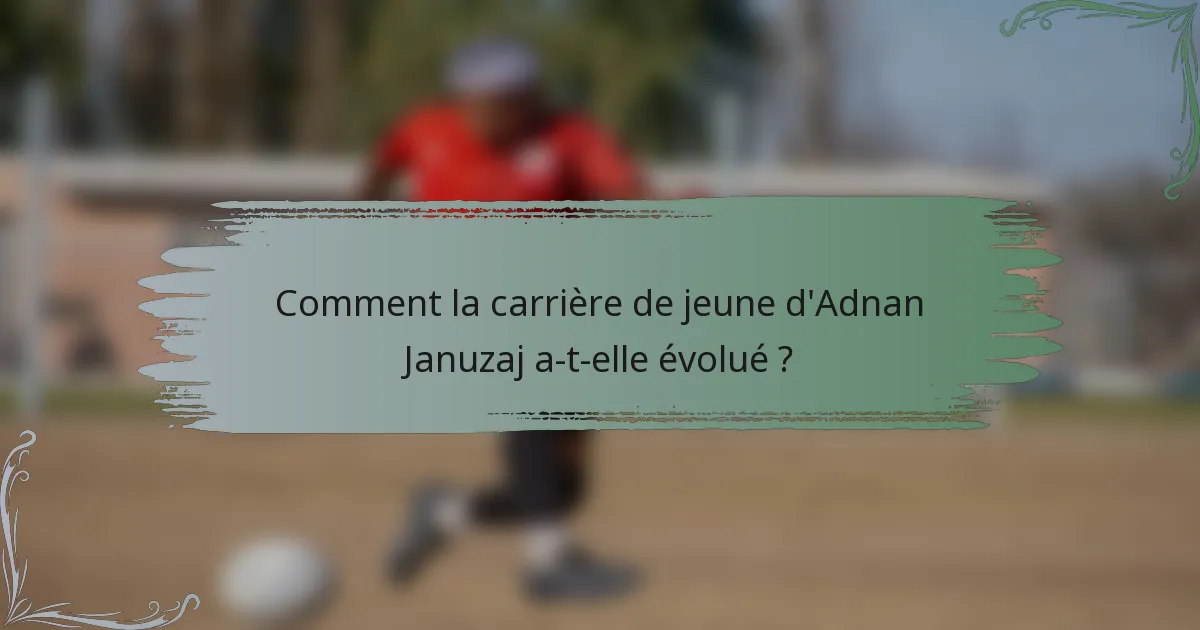 Comment la carrière de jeune d'Adnan Januzaj a-t-elle évolué ?